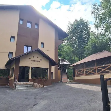Pedroni Guest house