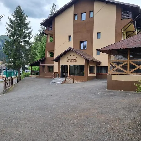 Pedroni Guest house Poiana Brasov