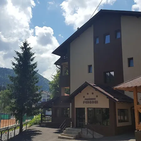Pedroni